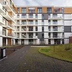 City Of The Kings - Leaf Apartment